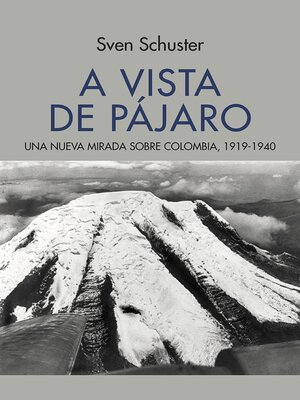 cover image of A vista de pájaro